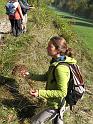 Ecouges 029